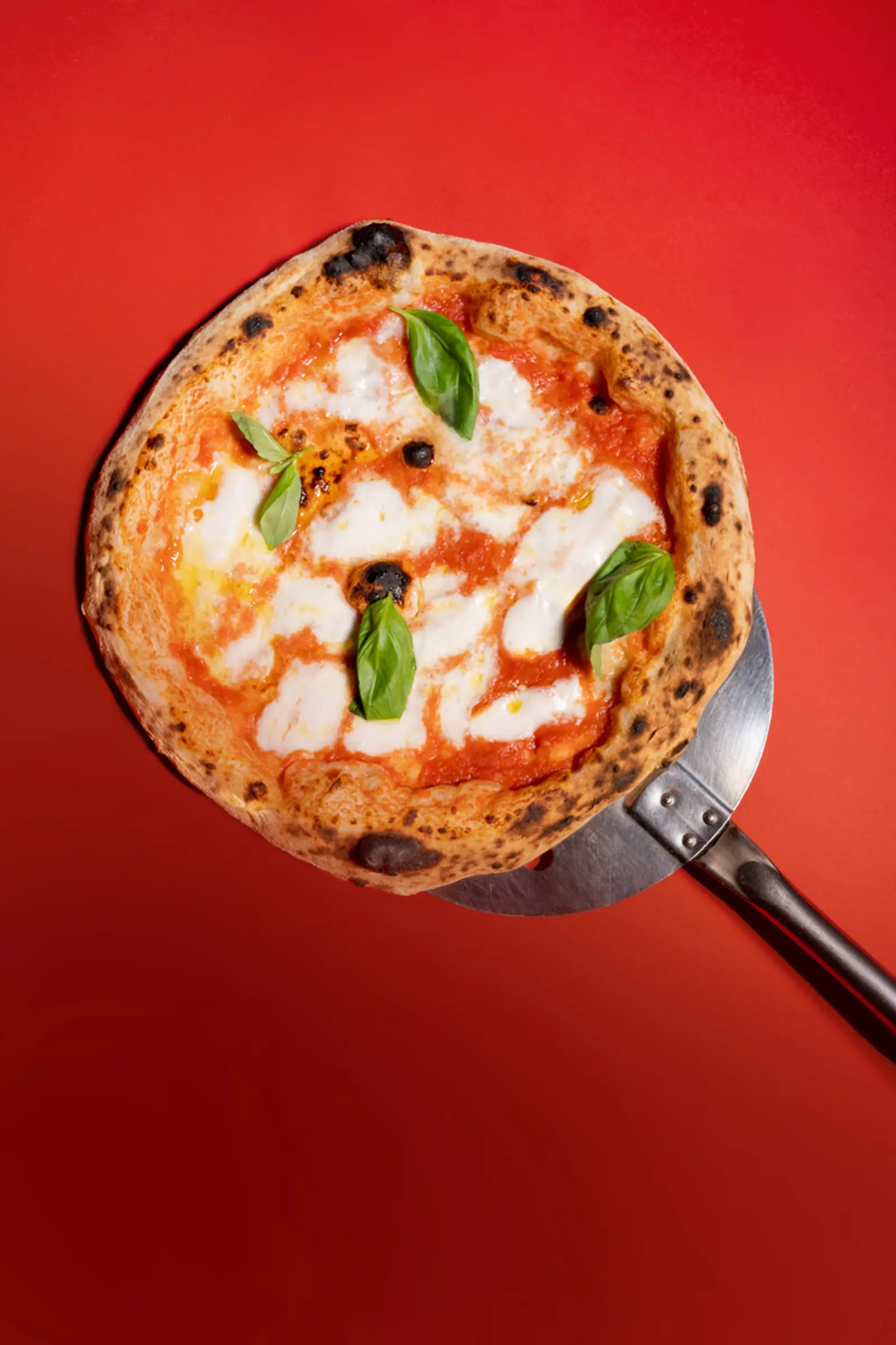 Pizza Margherita z bazylią na łopacie, prosto z pieca — Bottegas Saska Kępa, ul. Francuska 24